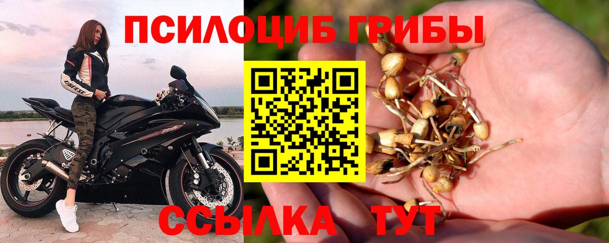 Галлюциногенные грибы ЛСД  Псилоцибиновые грибы MAGIC MUSHROOMS  Салехард  Вход с VPN 